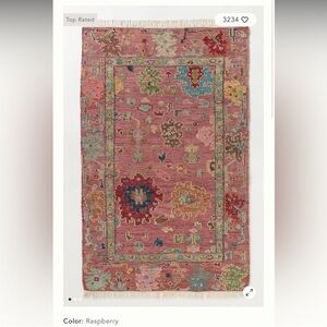 Anthropologie Perry Wool Hand Knotted Rug